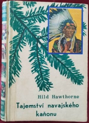 Román Tajemství navajského kaňonu, Hild Hawthorne