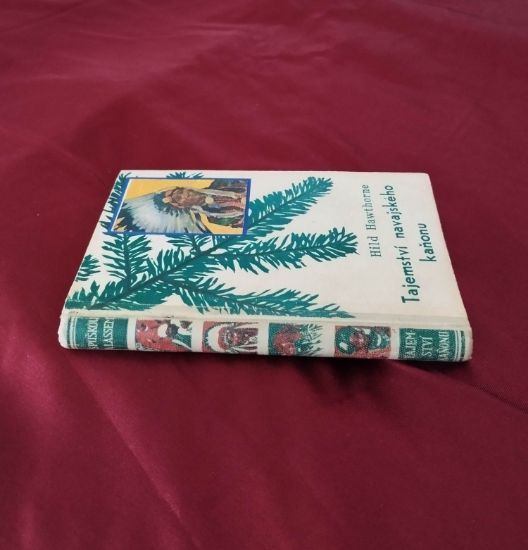 Román Tajemství navajského kaňonu, Hild Hawthorne